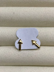 Brinco Seta Folheado a Ouro 18k